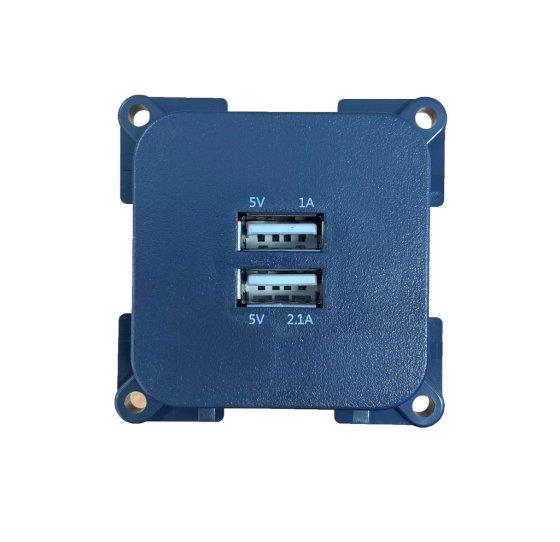 C-Line Twin USB Socket in Grey
