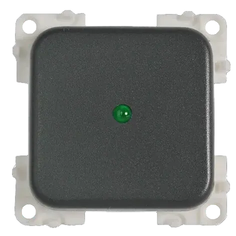 CBE Single Switch with LED, Grey CBE