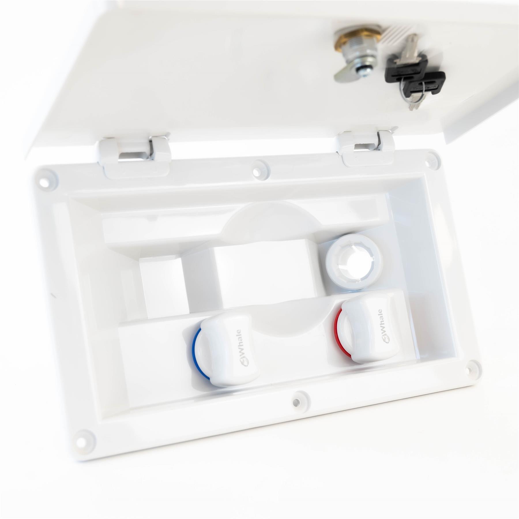 Whale Swim and Rinse