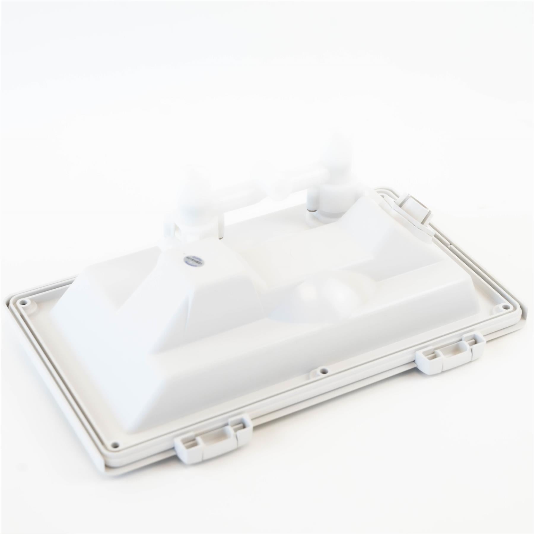 Whale Swim and Rinse