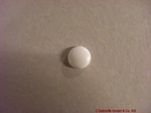 Dethleffs Trim Cap Cover(Pack 10). White Dethleffs