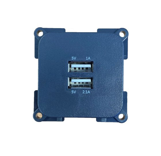 C-Line Twin USB Socket in Black