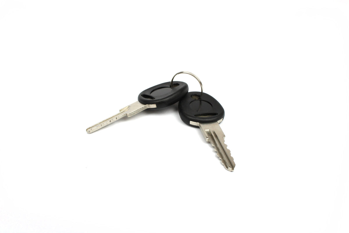 Two keys on white background