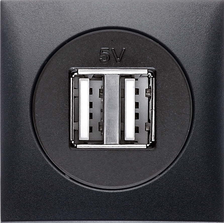 Berker Anthricite SOCKET OUTLET