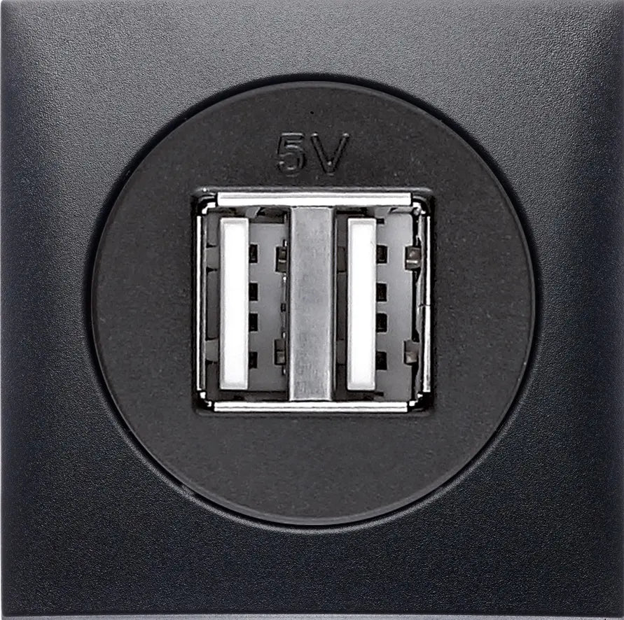 Berker Anthracite SOCKET OUTLET Berker