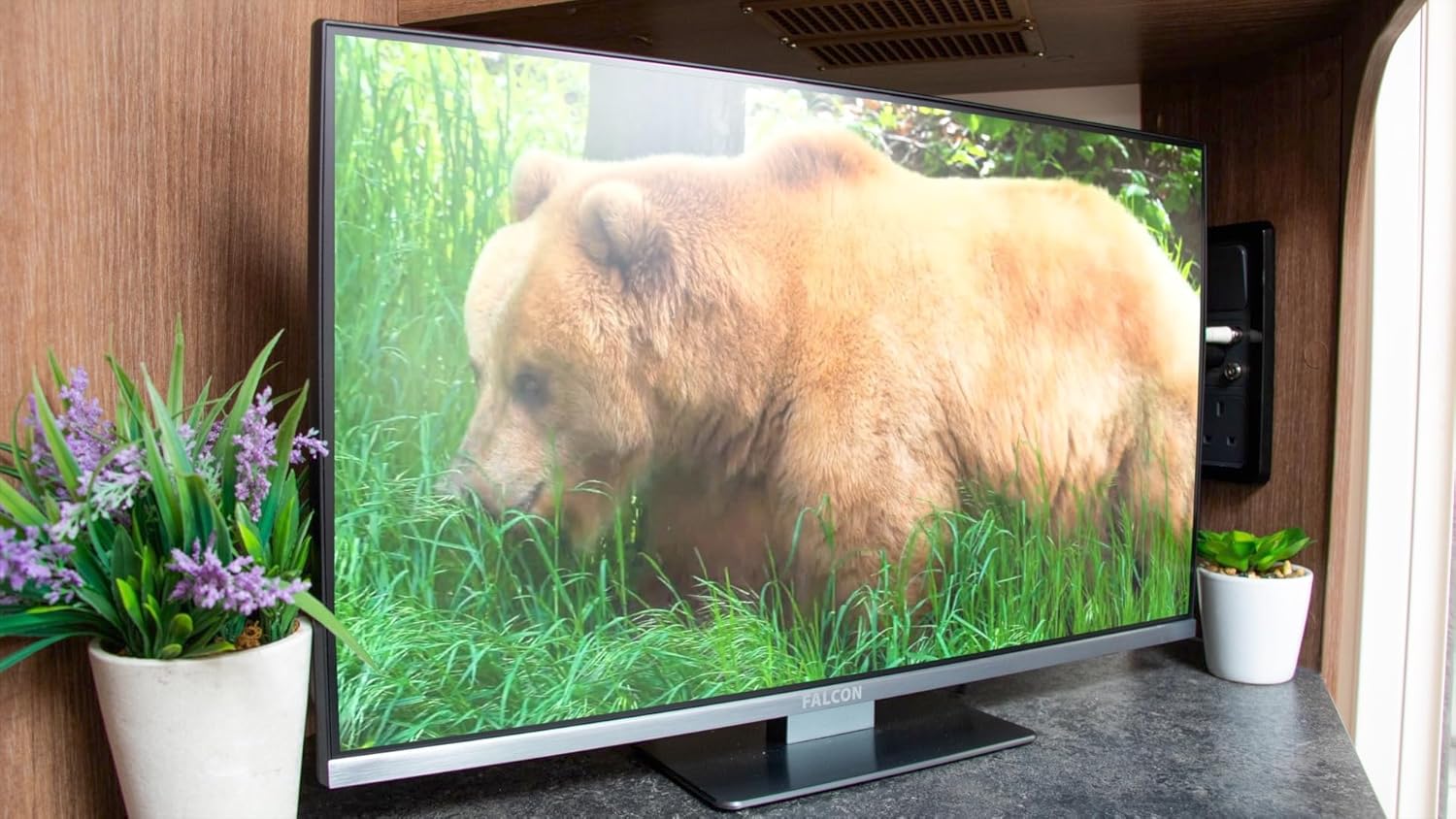 Falcon 22" Slim Bezel WebOS Multi-Voltage Smart TV HD Satellite & Cable Tuner WIFI Lan