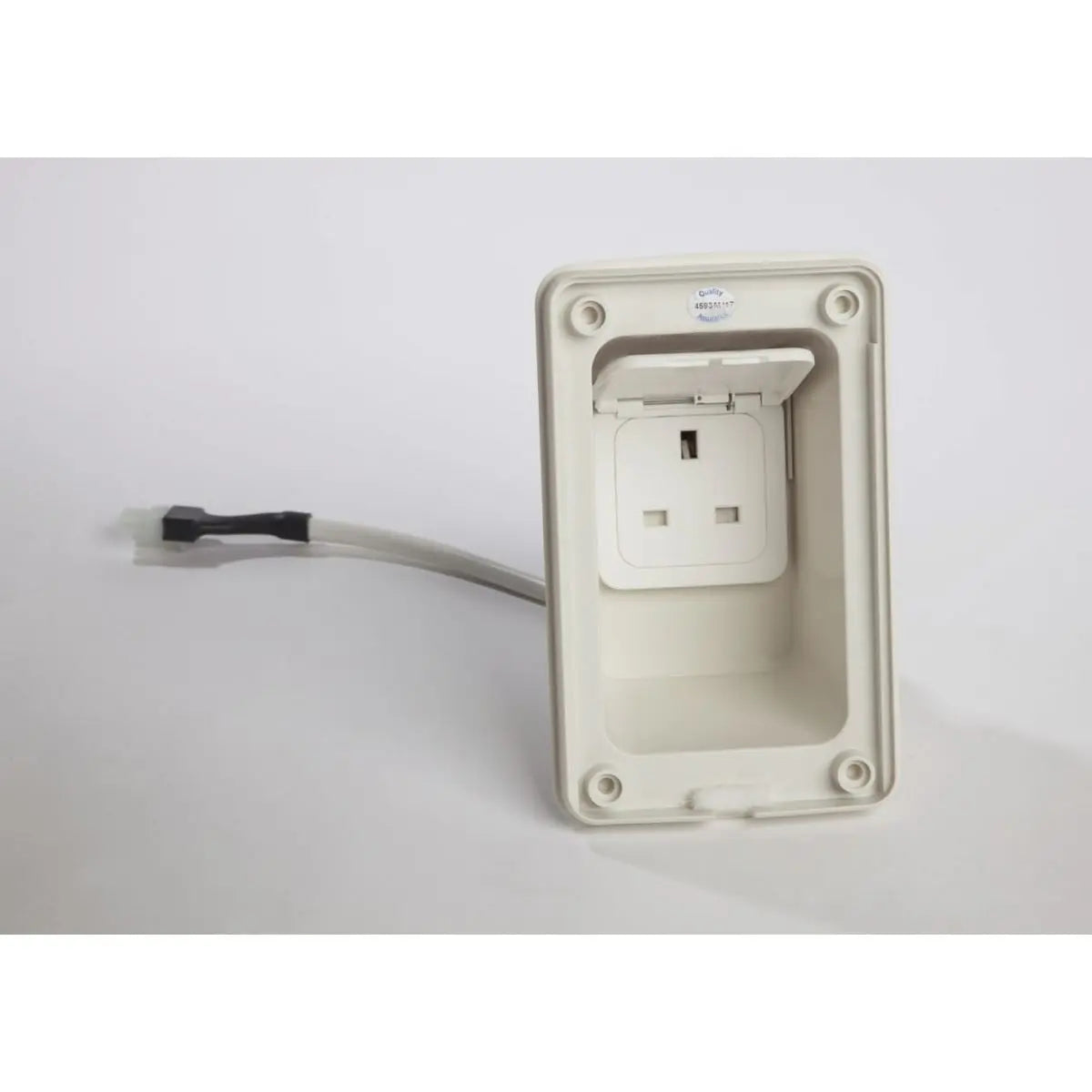 Socket Electric Mains Out UK Whale