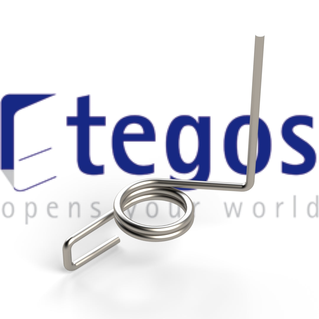 Dethleffs Door Spring