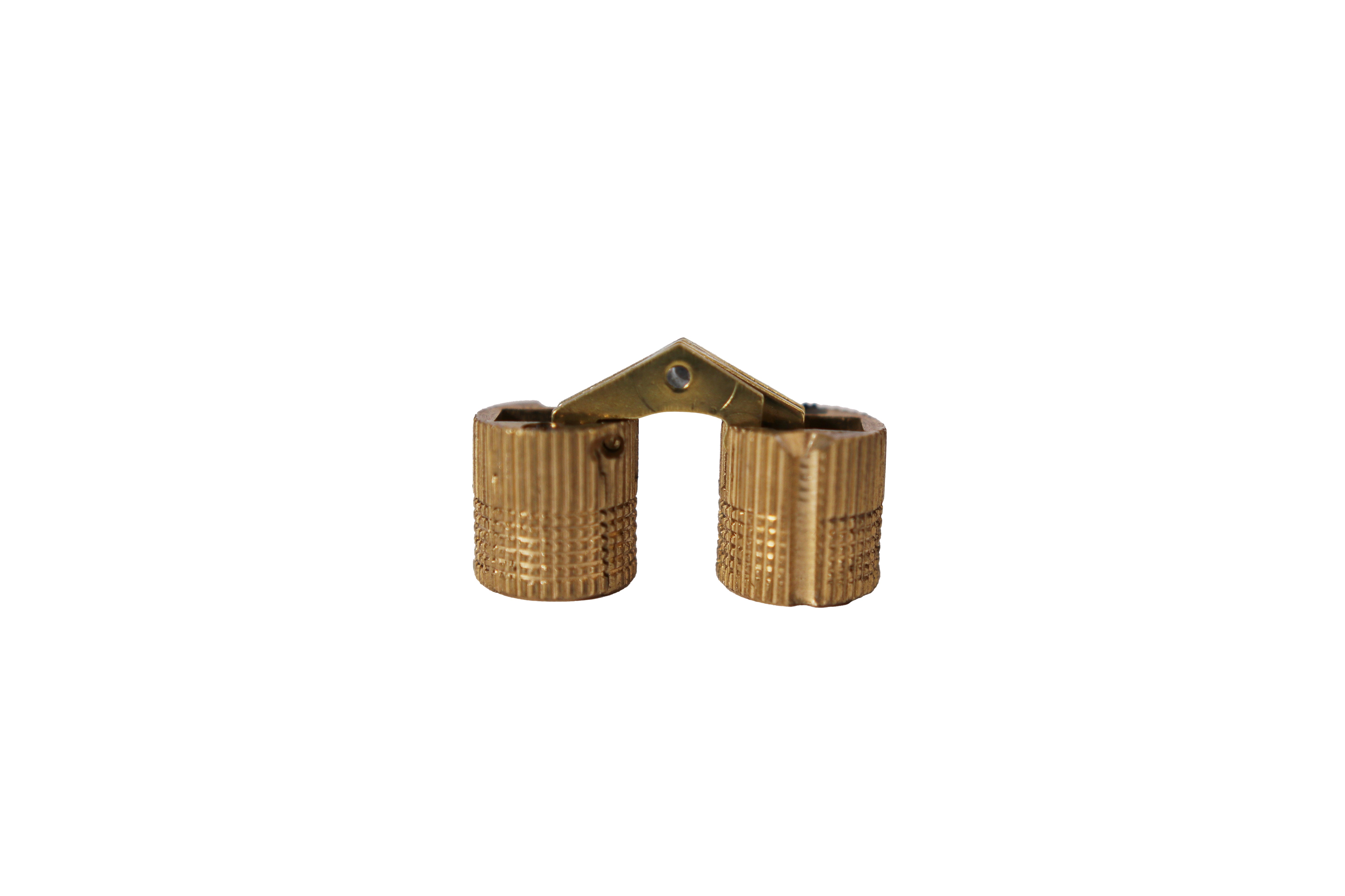 Dethleffs 16mm Concealed Spigot/Barrel Hinge in Brass