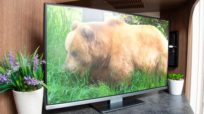 Falcon 22" Slim Bezel WebOS Multi-Voltage Smart TV HD Satellite & Cable Tuner WIFI Lan