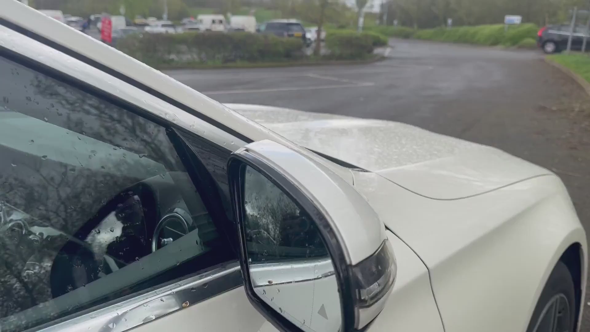 Load video: Milenco Aero Platinum Mirrors Twinpack