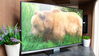 Falcon 22" LED TV, 4G Antenna and Soundbar Bundle