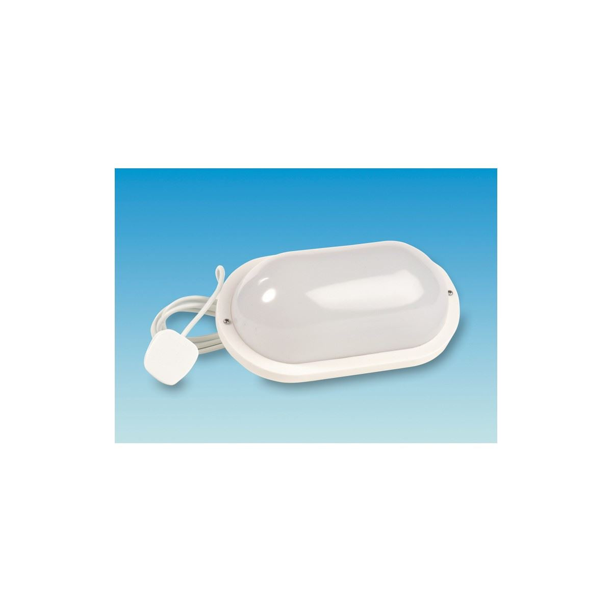 Bulkhead Light Fitting c/w 40 Watt Bulb